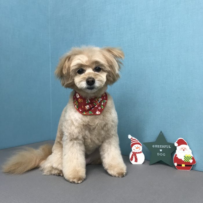 川上　むぎちゃん