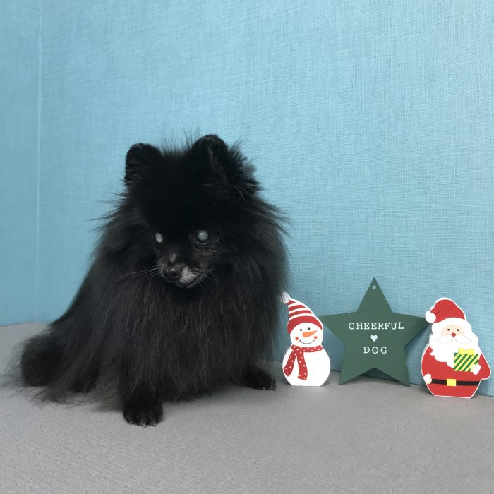 室井　パミュパミュちゃん