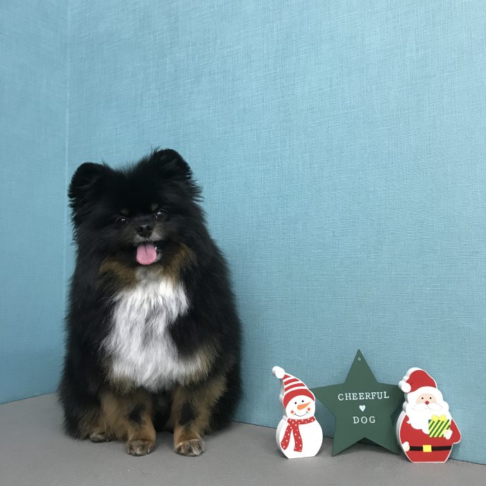 室井　ユージーンくん