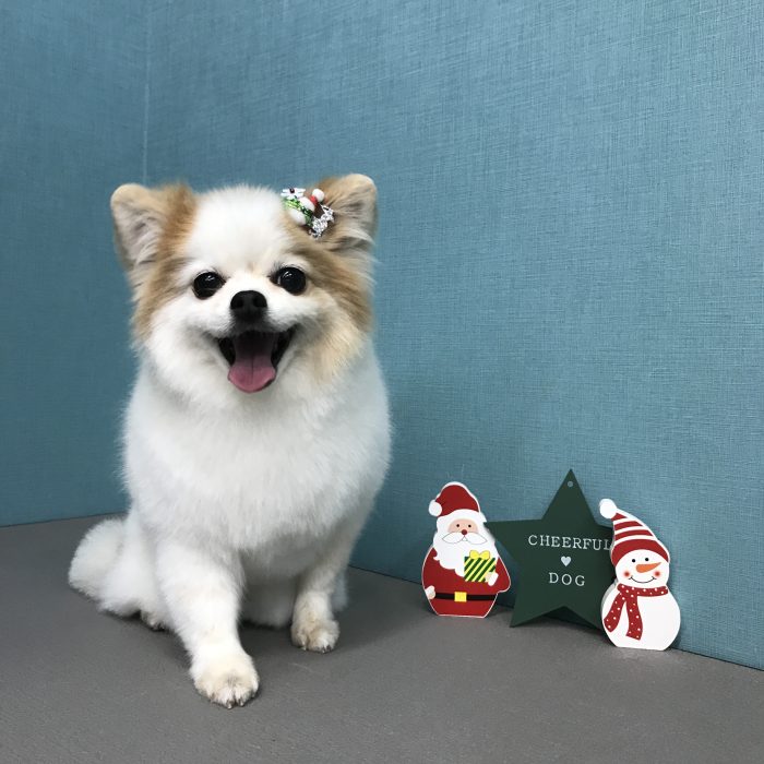 安高　タケくん