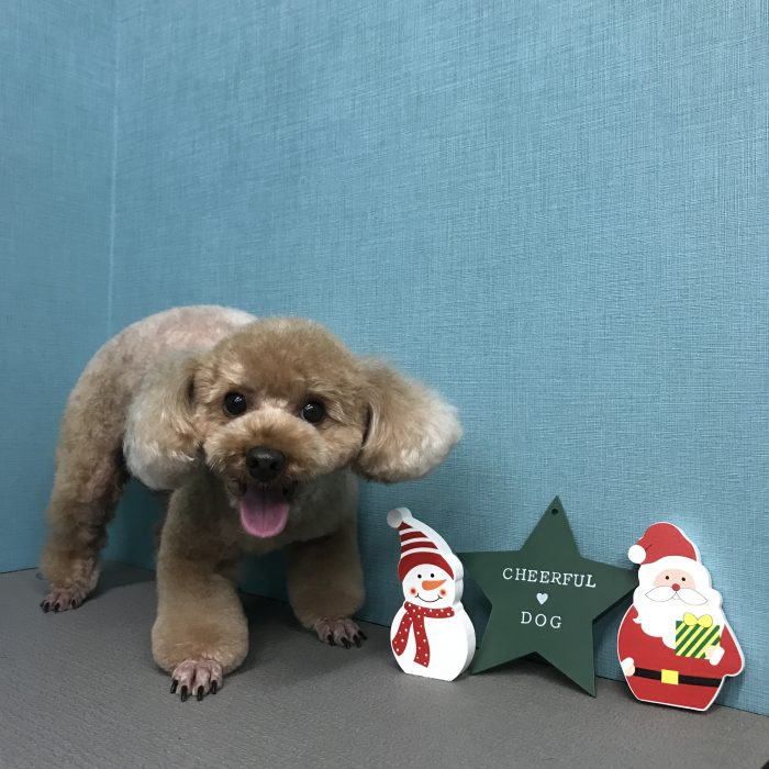 向出　ユッキくん