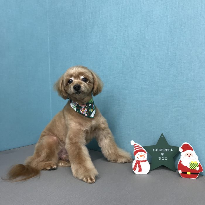 北村　オレオくん