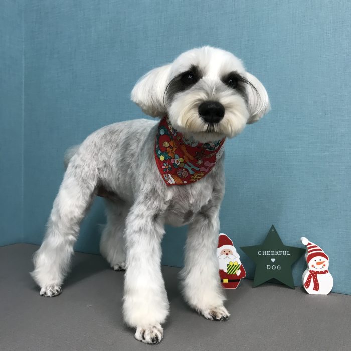 坪内　ソラちゃん