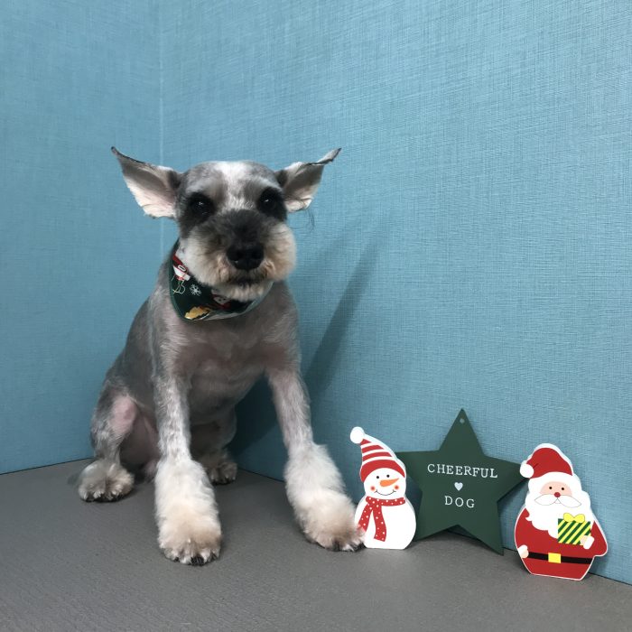 髙橋　リツくん