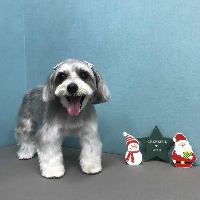 谷口　サラちゃん