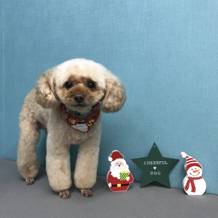 辻口　マロンちゃん