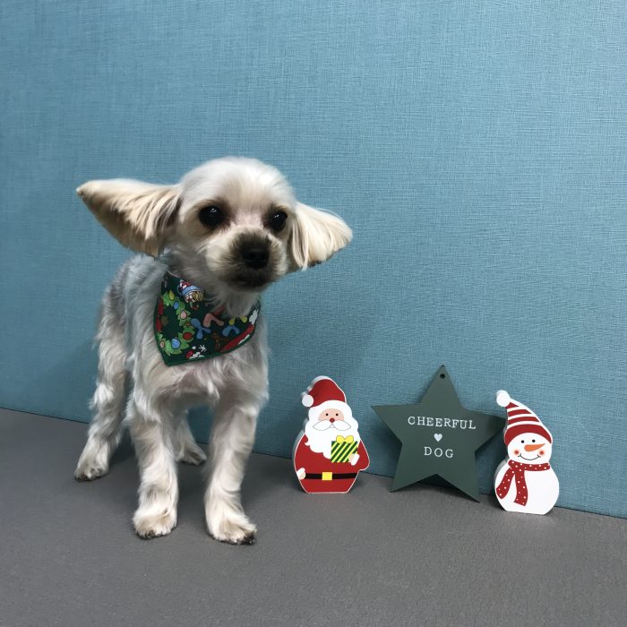 川西　Ｓｋｙちゃん