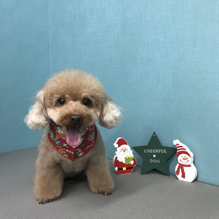 湊　ピョンちゃん