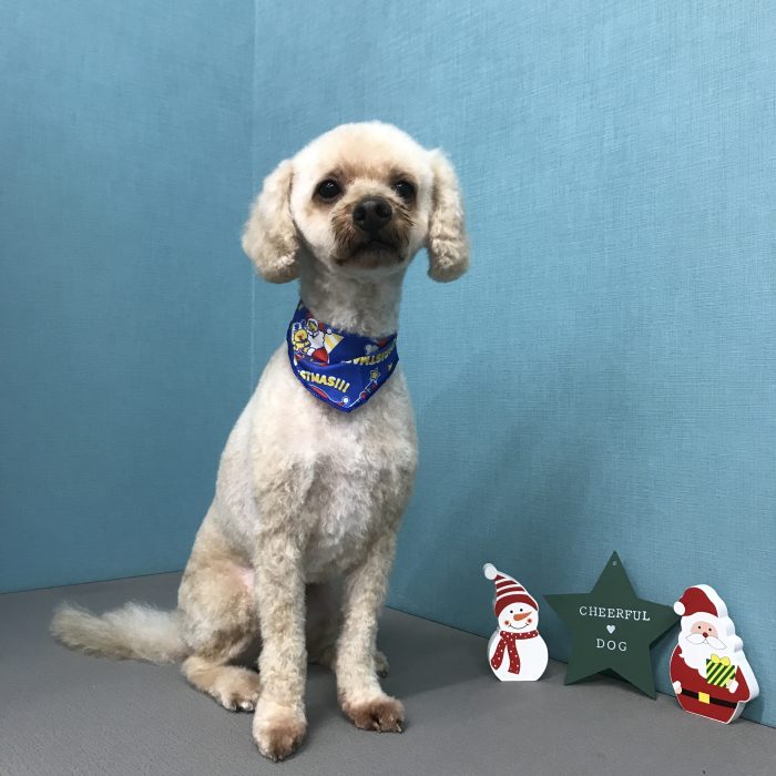 土井　ジョーくん