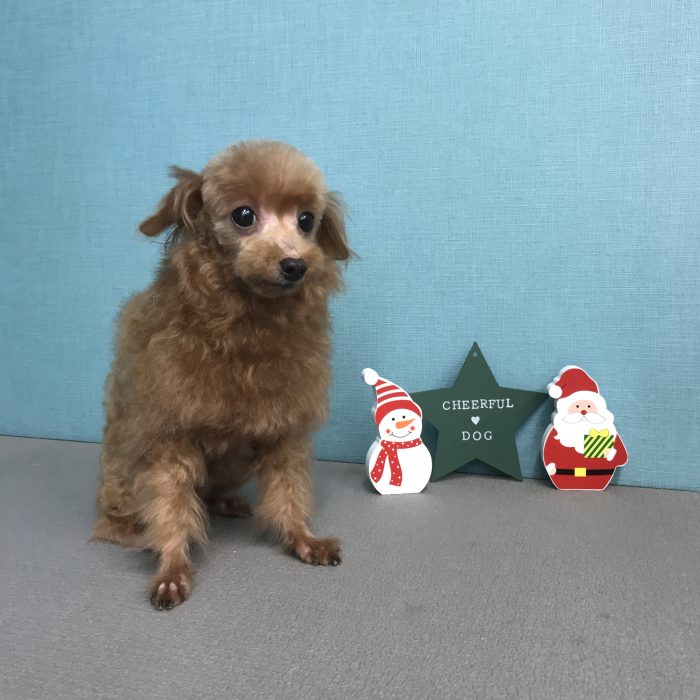 中村　ベルちゃん