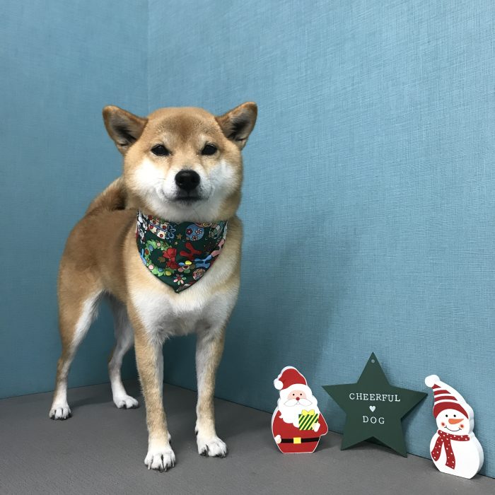 安田　むぎちゃん