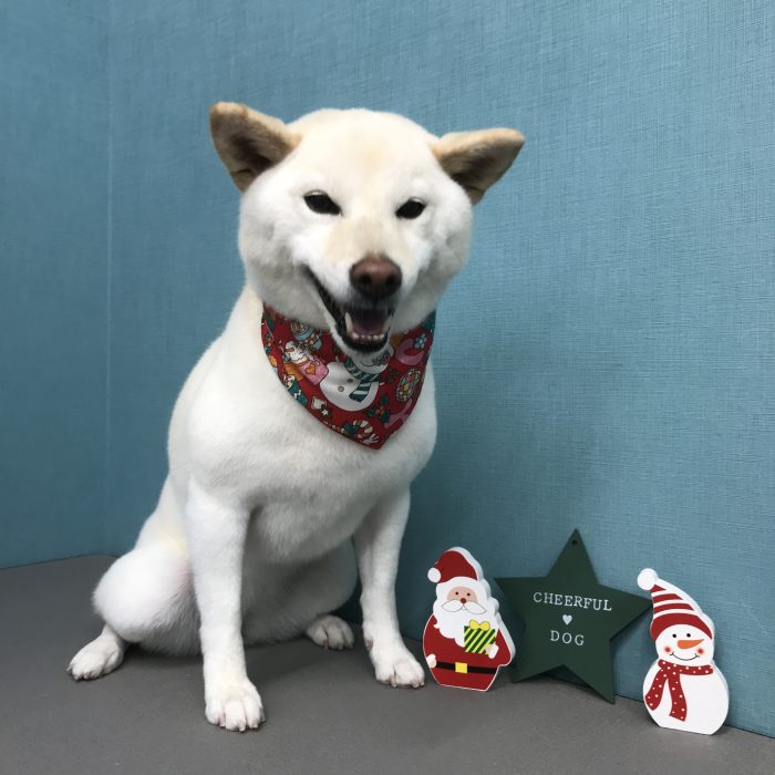 中西　神龍ちゃん