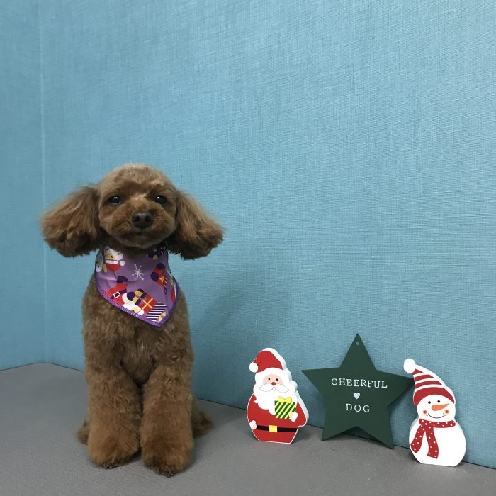 竹田　アビィちゃん