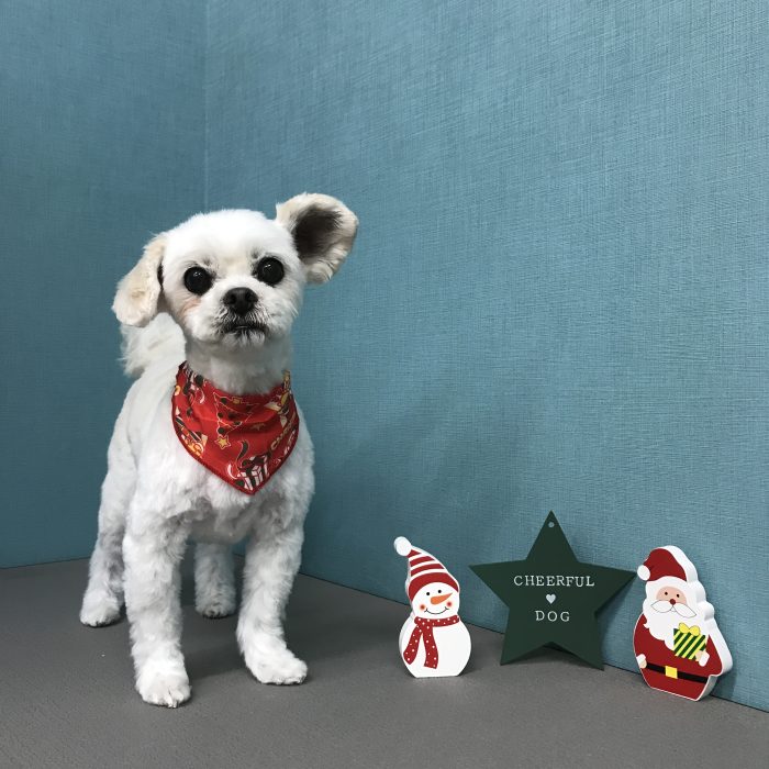 土井　ファミちゃん