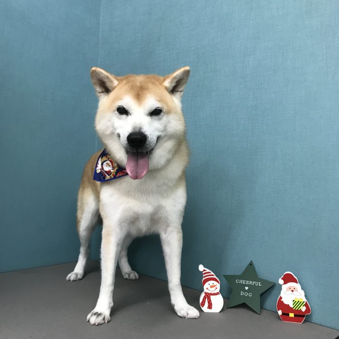 城田　わん太郎くん