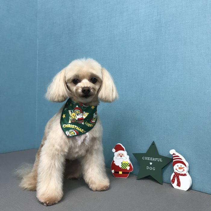 江崎　チャムくん