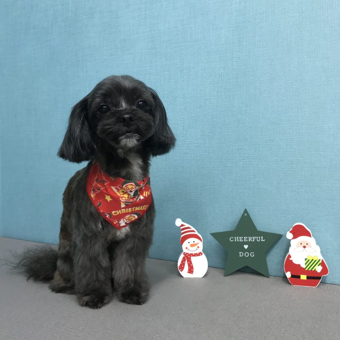 江崎　メイちゃん