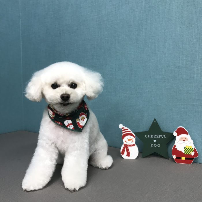 赤澤　美凜ちゃん