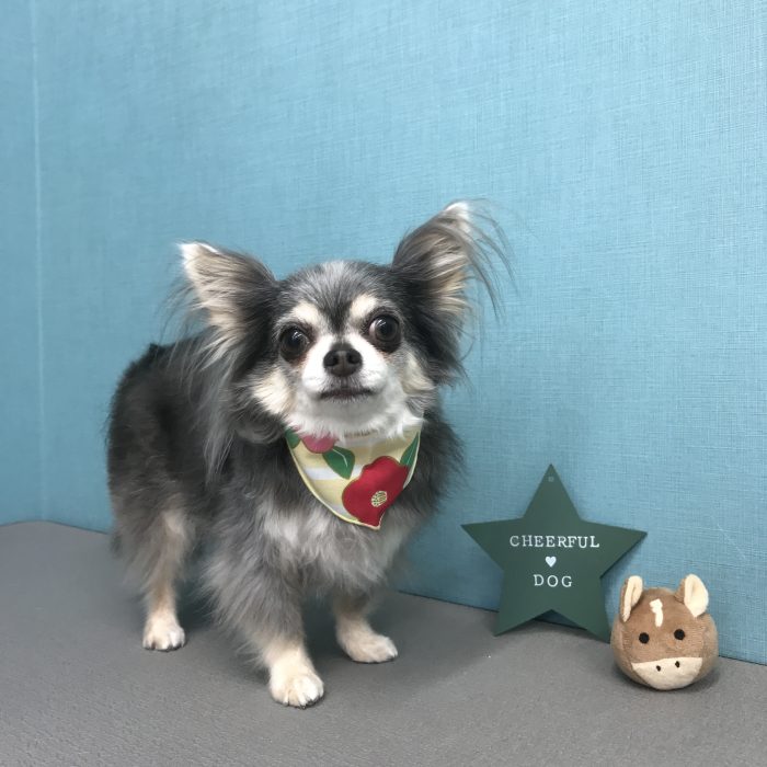 鈴木　葵ちゃん