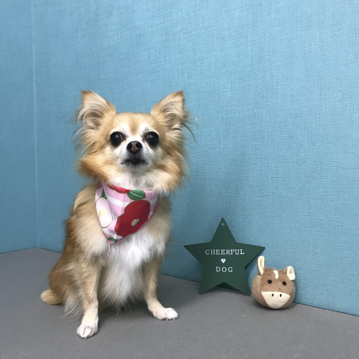 鈴木　花ちゃん