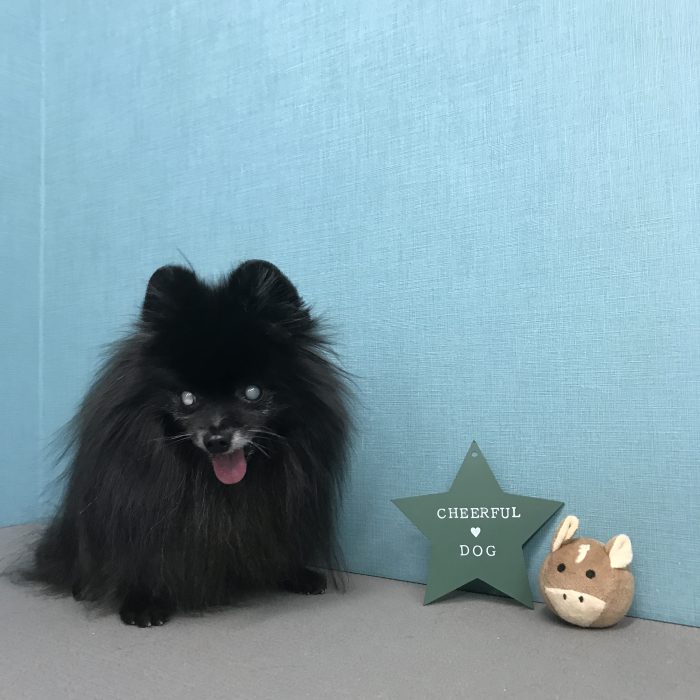 室井　パミュパミュちゃん