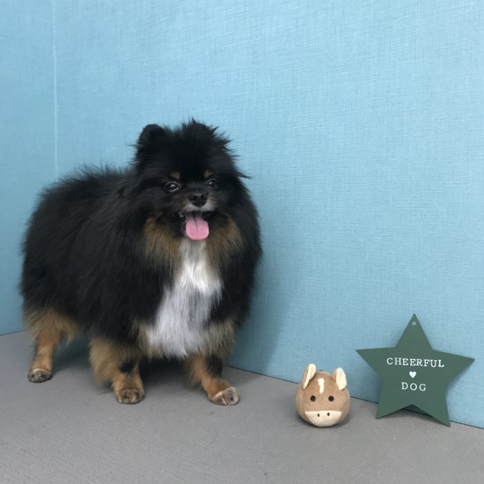 室井　ユージーンくん