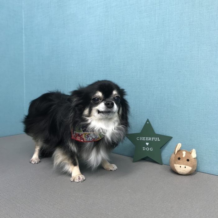 堂前　姫ちゃん