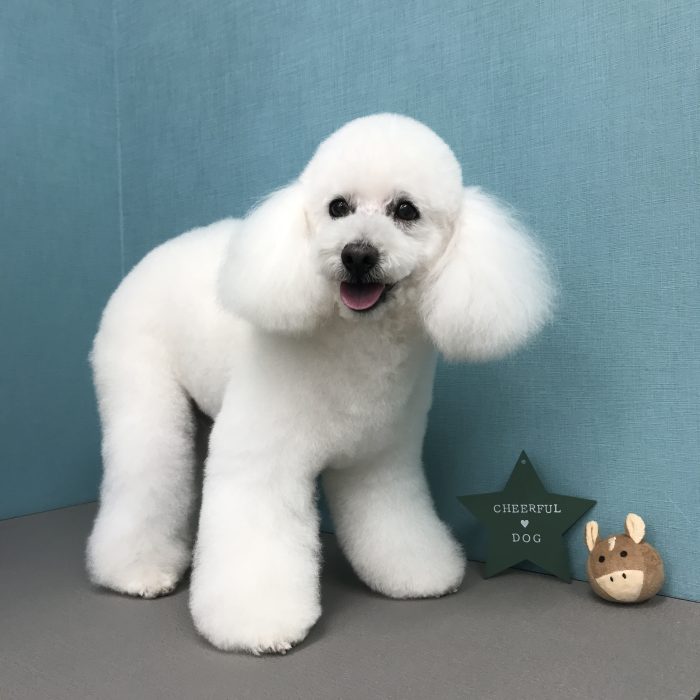 水上　ファルコンくん