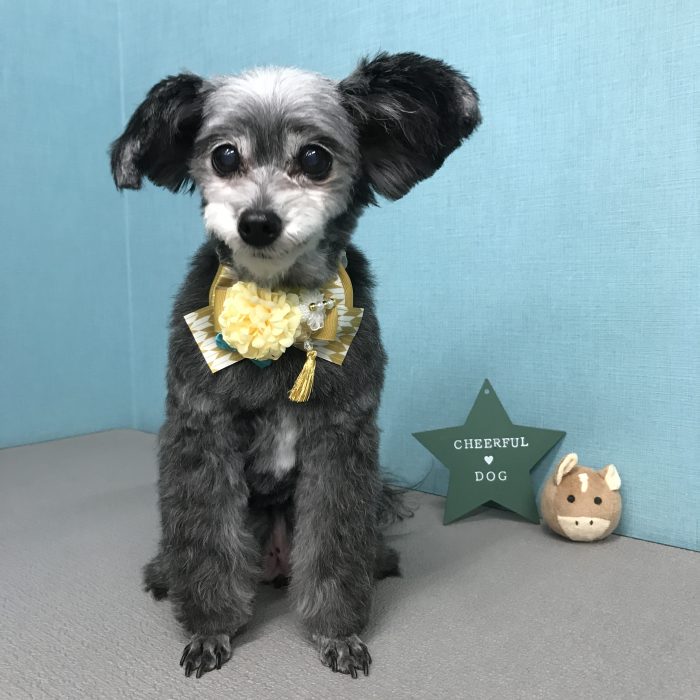 小鍛治　ハッピーちゃん