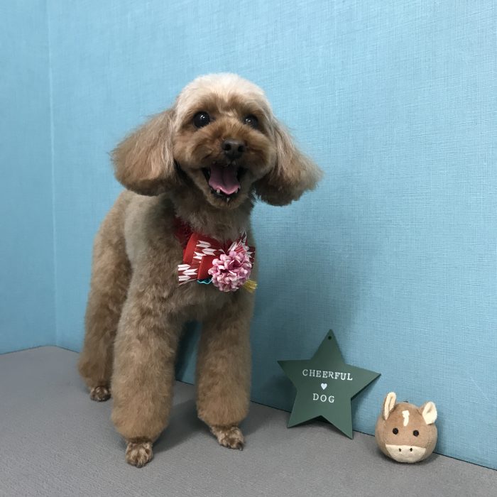 小鍛治　さつきちゃん