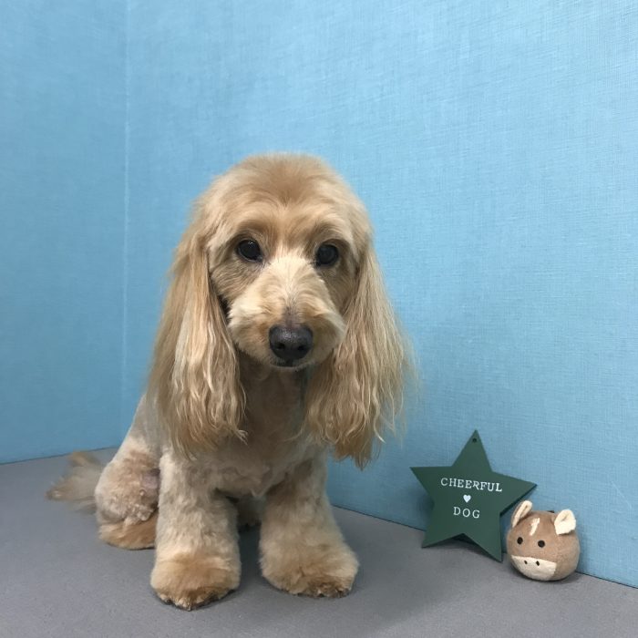 竹内　ソラくん