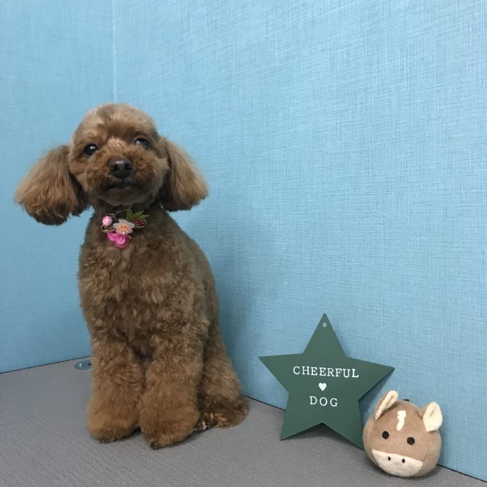 竹田　アビィちゃん