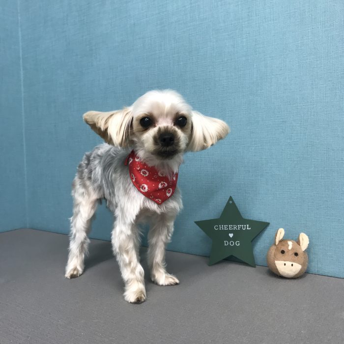 川西　Ｓｋｙちゃん