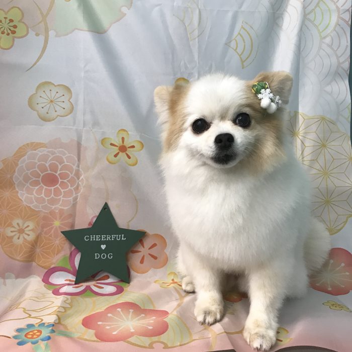 安高　タケくん