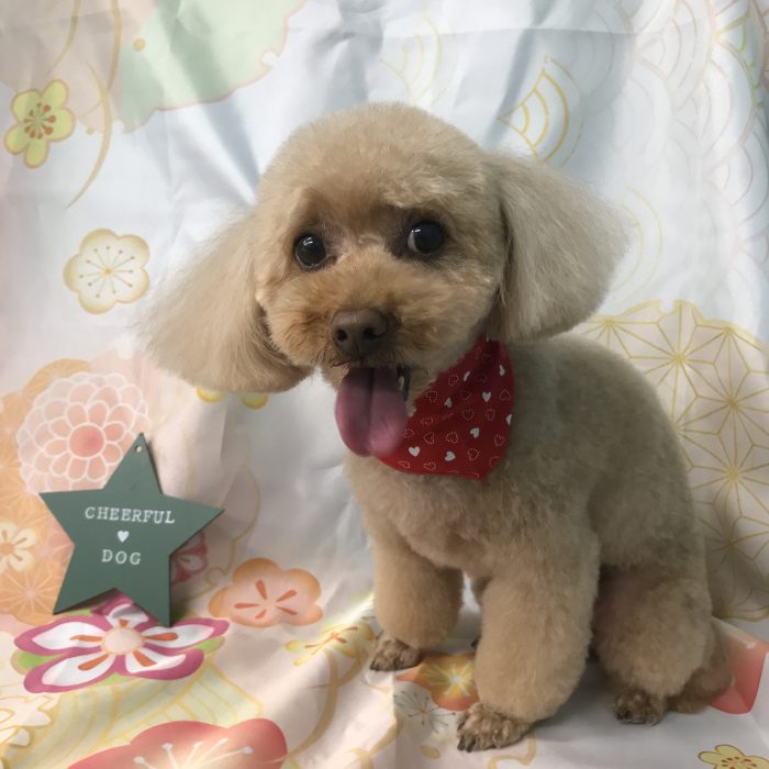 大久保　ミライちゃん