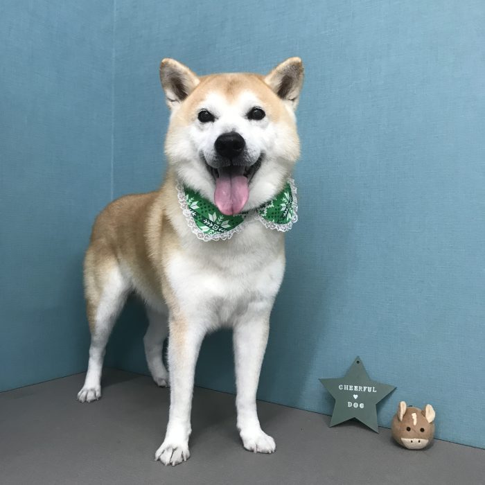 城田　わん太郎くん