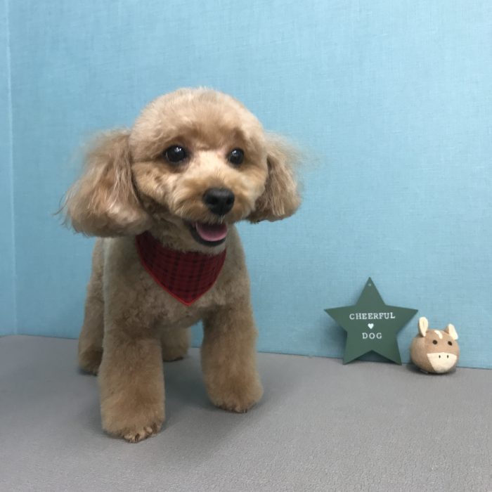 伊東　ルイちゃん