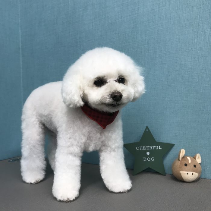 赤澤　美凜ちゃん