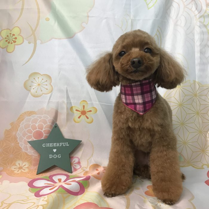 竹田　アビィちゃん