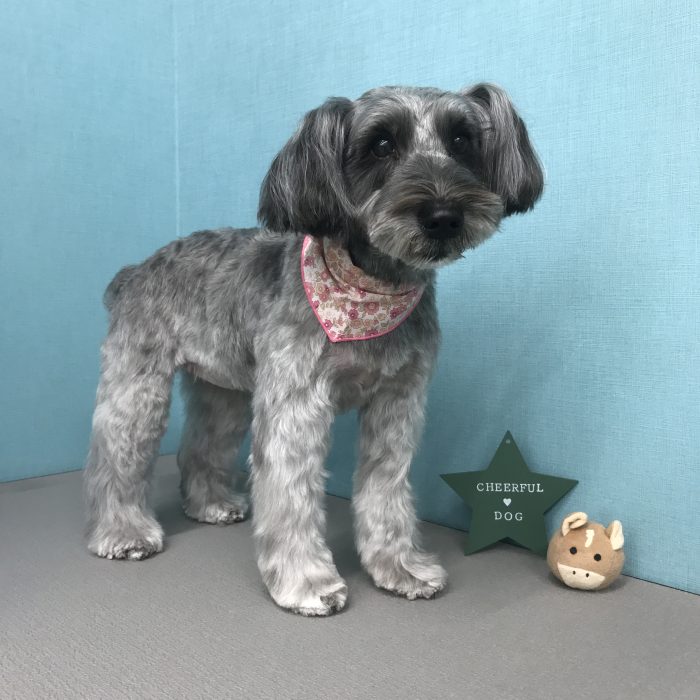 西川　ビビちゃん