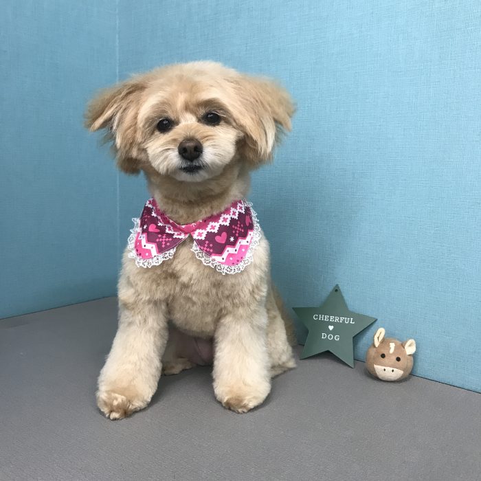 川上　むぎちゃん