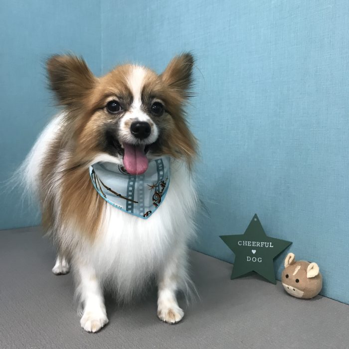 土田　エースくん