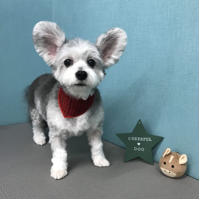 中島　モアナちゃん