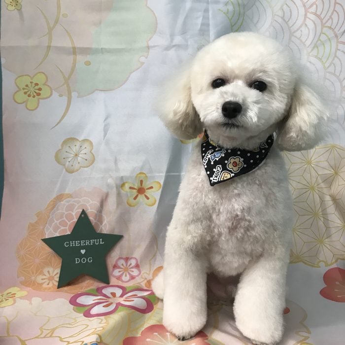 長谷川　モコくん