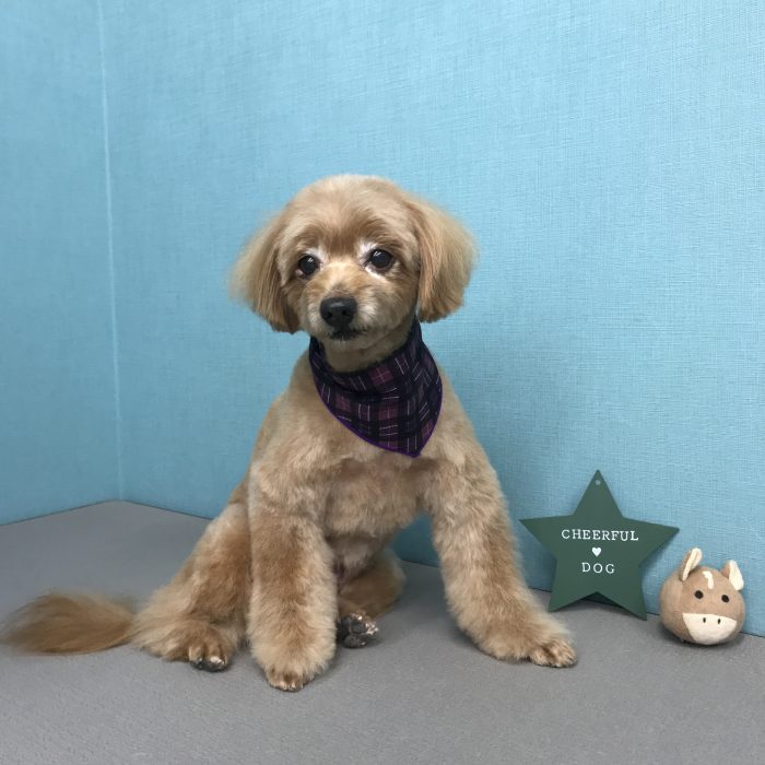 北村　オレオくん