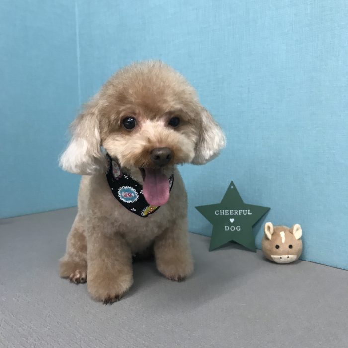 湊　ピョンちゃん