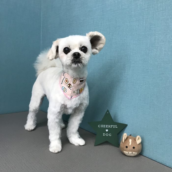 土井　ファミちゃん