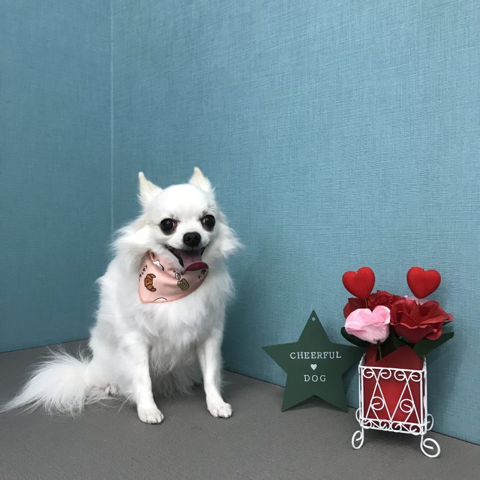 越村　ましろちゃん