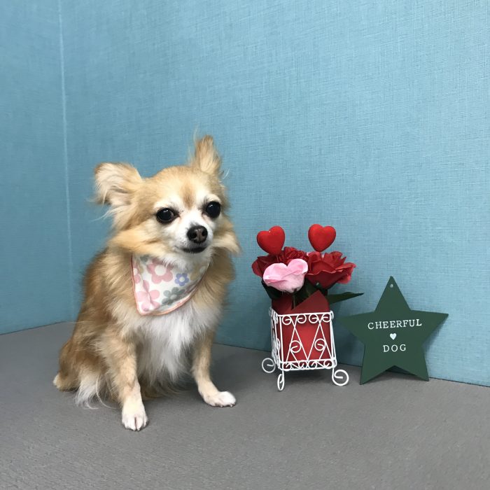 鈴木　花ちゃん