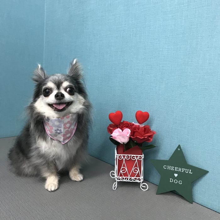 鈴木　葵ちゃん